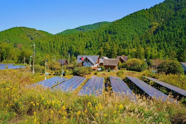 太陽光発電と雑草