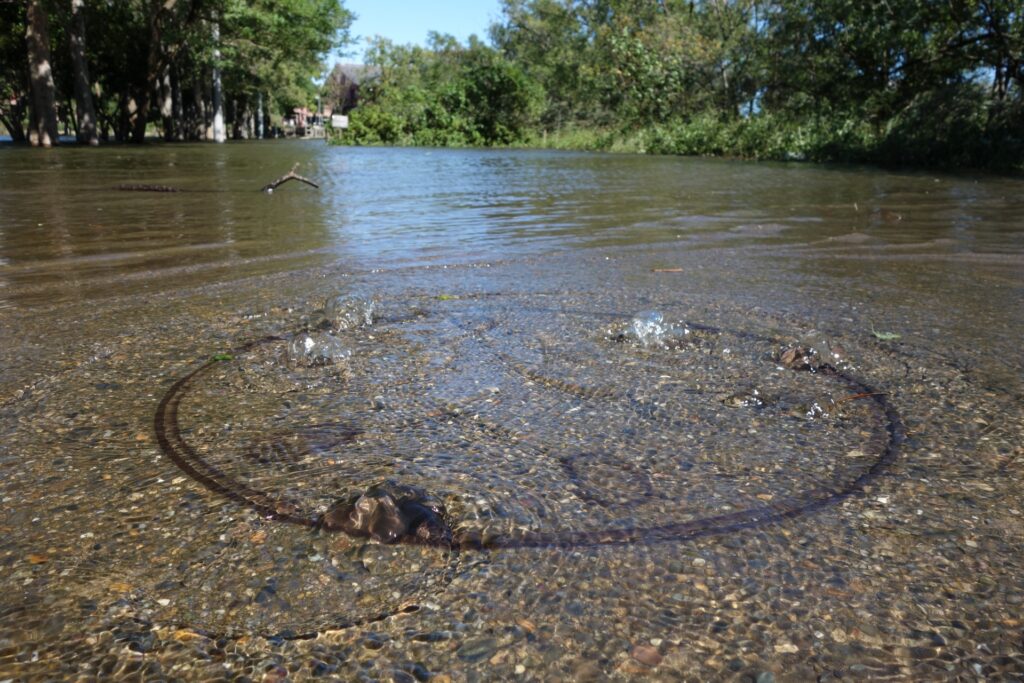 冠水した道路のマンホールから水が溢れる
