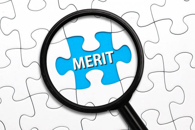 MERITの文字列と虫眼鏡